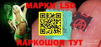 гидропоника Будённовск