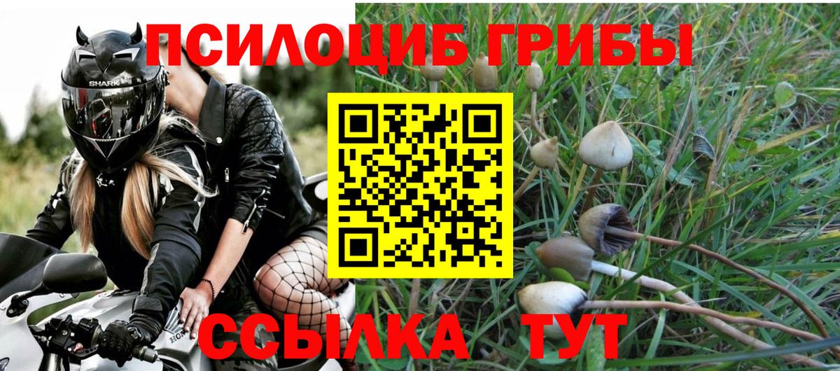 Псилоцибиновые грибы Psilocybine cubensis Маркс